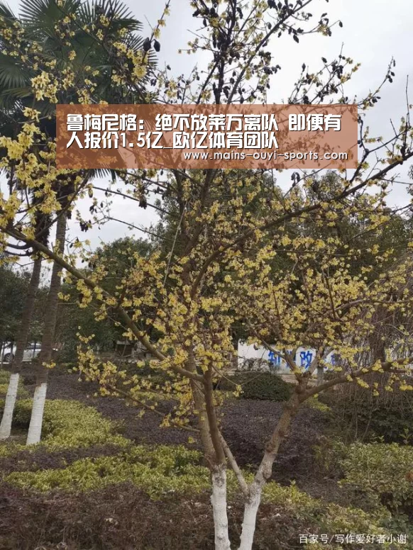 鲁梅尼格:绝不放莱万离队 即便有人报价1.5亿_欧亿体育团队(图2) 欧亿体育官网