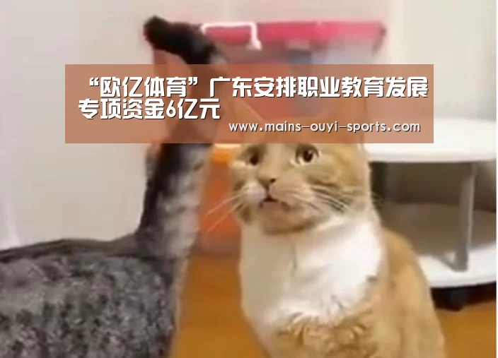 欧亿体育