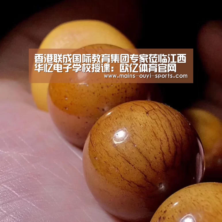 香港联成国际教育集团专家莅临江西华忆电子学校授课:欧亿体育官网(图2) 欧亿体育