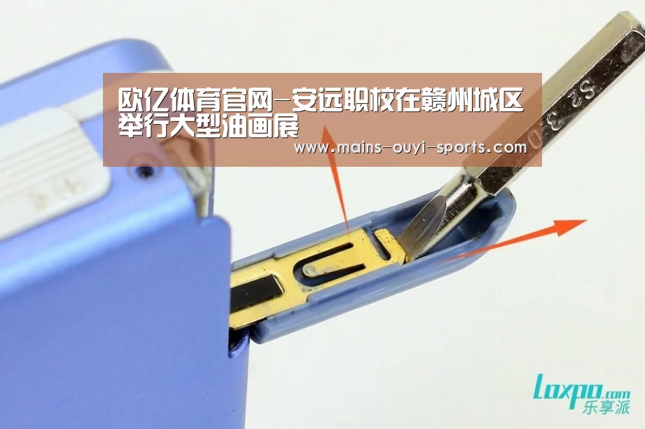 欧亿体育团队