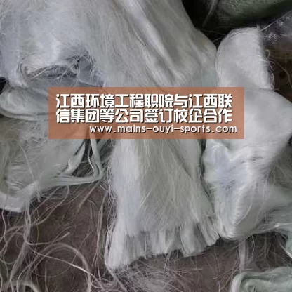 欧亿体育官网
