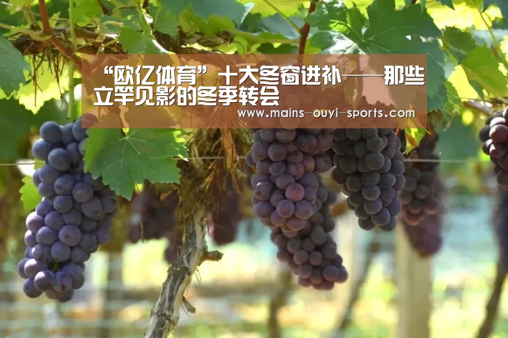 欧亿体育团队