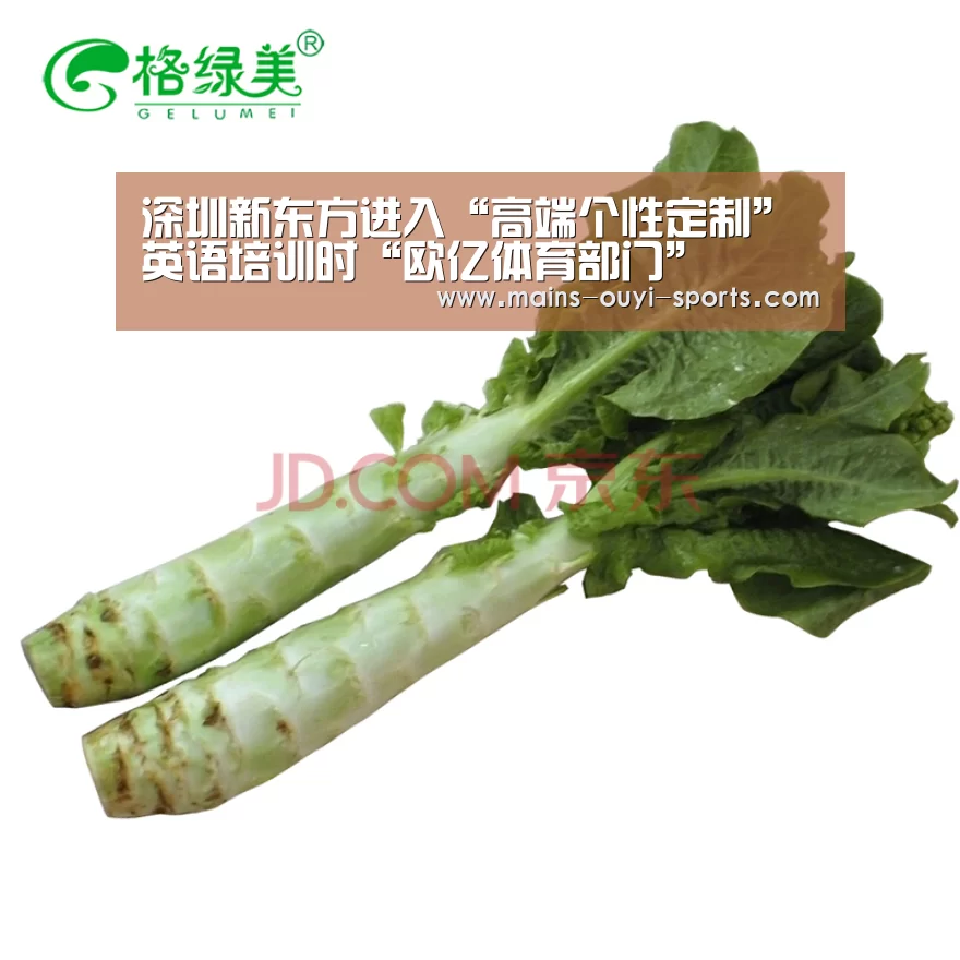 欧亿体育团队