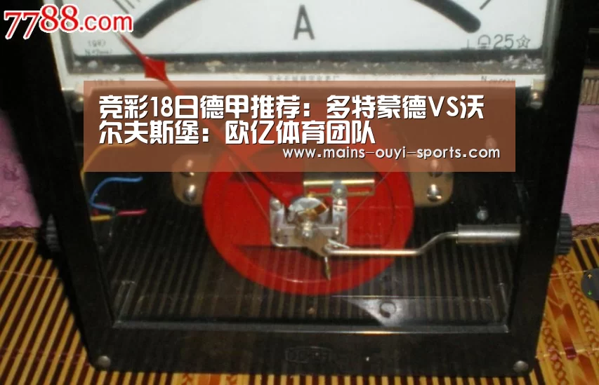 欧亿体育团队